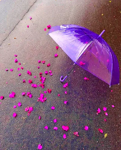 عکس باران برای پروفایل