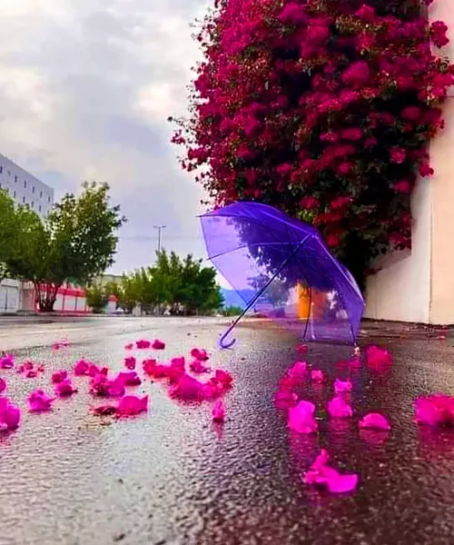 عکس باران برای پروفایل