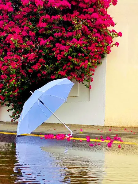 عکس باران برای پروفایل