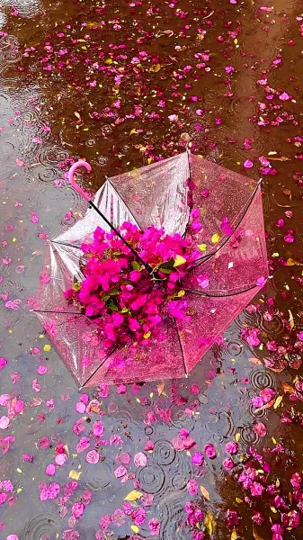 عکس باران برای پروفایل