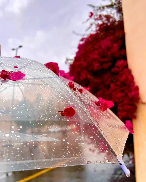 عکس باران برای پروفایل