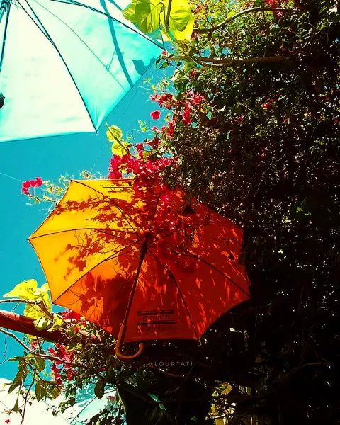 عکس باران برای پروفایل