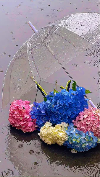 عکس باران برای پروفایل