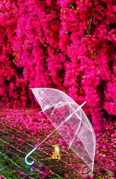 عکس باران برای پروفایل