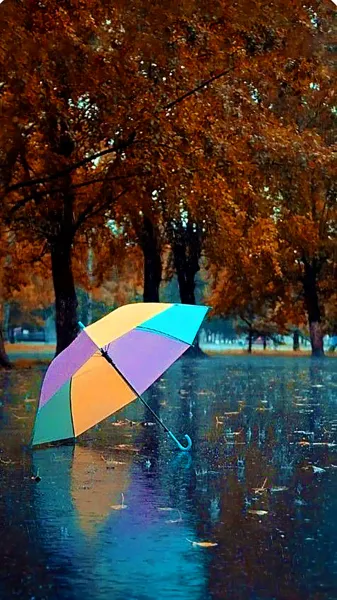 عکس باران برای پروفایل