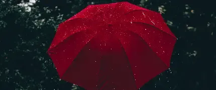  عکس چتر برای پروفایل واتساپ و تلگرام