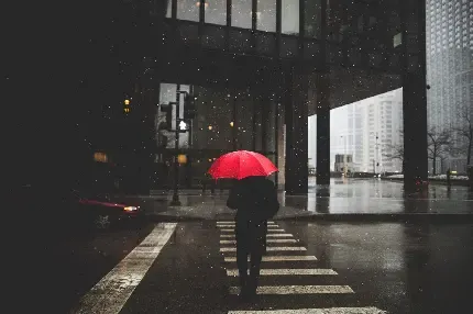  عکس چتر برای پروفایل واتساپ و تلگرام