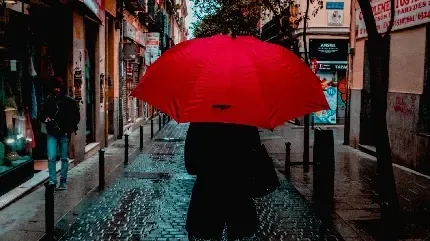  عکس چتر برای پروفایل واتساپ و تلگرام