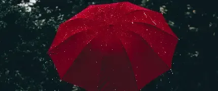  بک گراند چتر برای گوشی موبایل