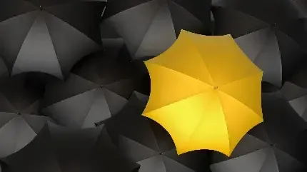  بک گراند چتر برای گوشی موبایل