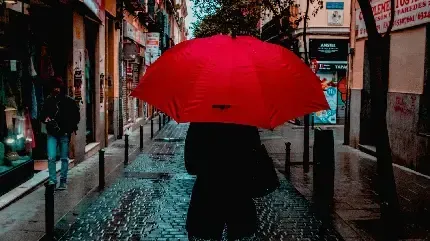  بک گراند چتر برای گوشی موبایل