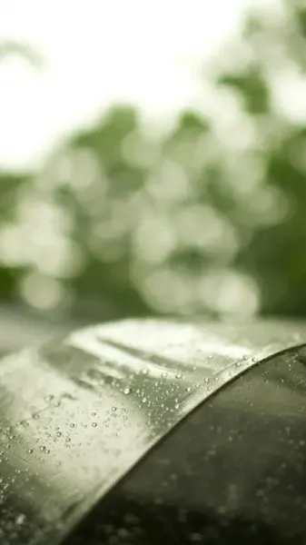  استوری چتر در باران