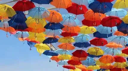 عکس چتر نقاشی