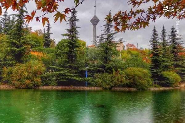  عکس از پارک