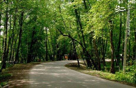  عکس از پارک