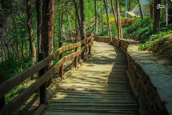  عکس از پارک