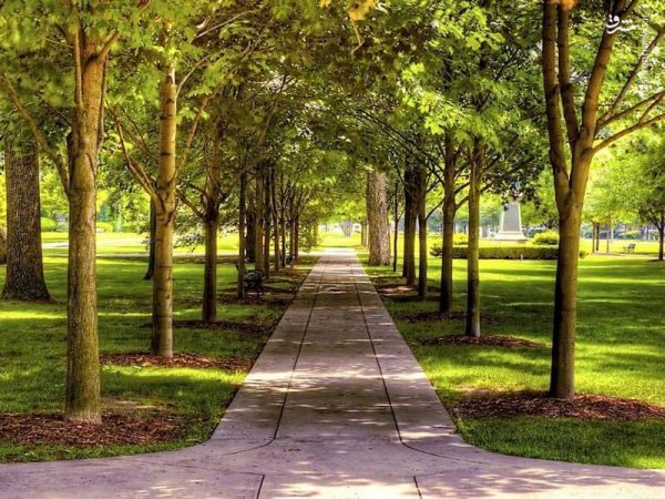  عکس از پارک