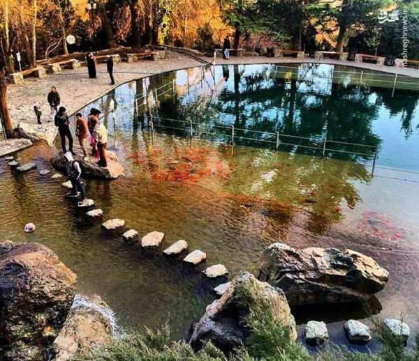  عکس از پارک