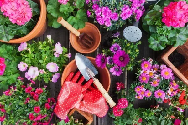  عکس های باغچه و باغبان