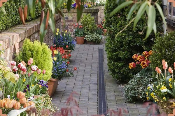 عکس های باغچه زیبا