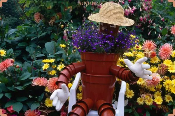  عکس های باغچه زیبا