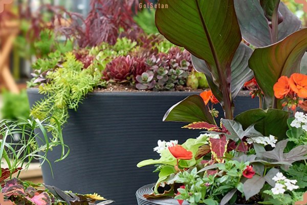  عکس های باغچه زیبا