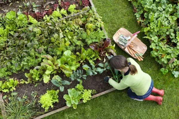 عکس طبیعت برای پروفایل