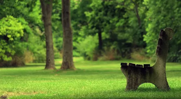  عکس باغچه برای بک گراند گوشی موبایل