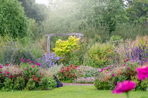 عکس باغ گل طبیعی