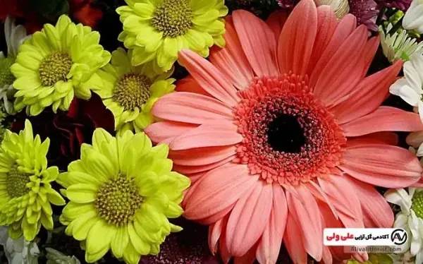 عکس باغ گل طبیعی