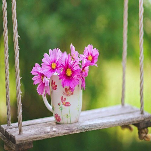  عکس باغ پر از گل برای پروفایل