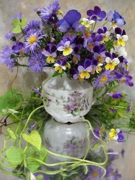 عکس گل رز واقعی