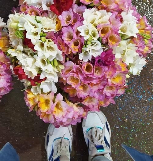 عکس گل رز واقعی