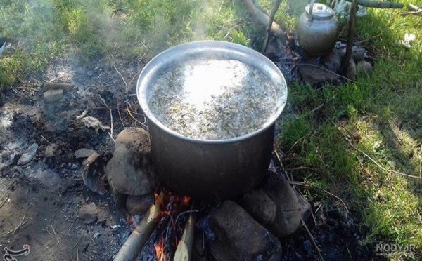  عکس پروفایل آشپزی در طبیعت