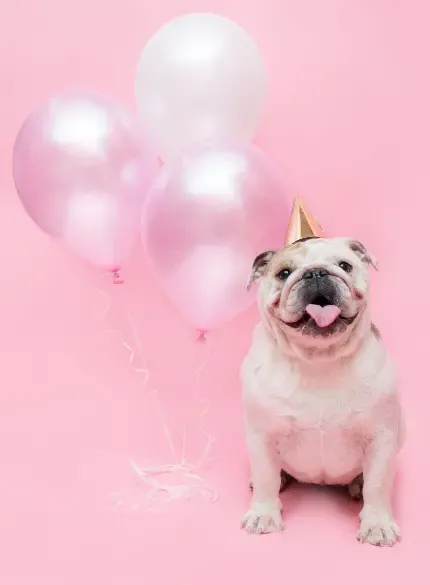  عکس شمع تولد خوشگل