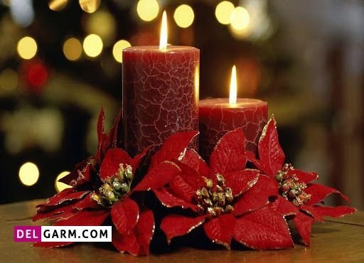  عکس شمع و گل عاشقانه