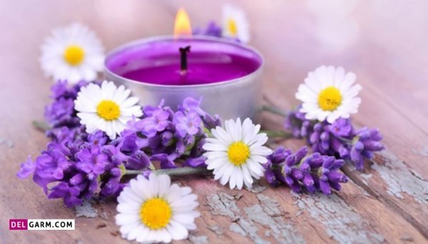  عکس شمع و گل عاشقانه