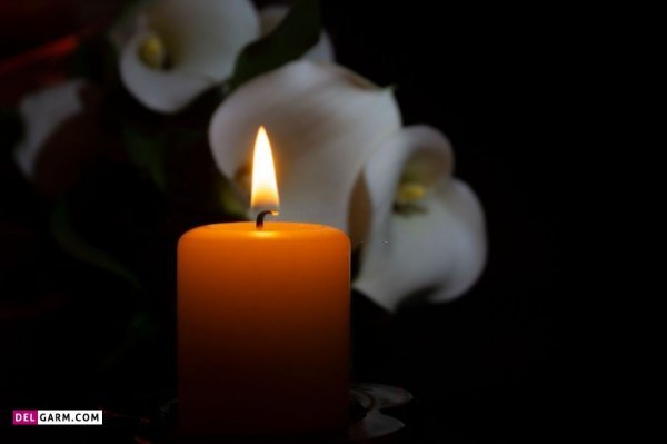 عکس شمع و گل عاشقانه