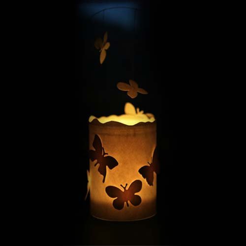 عکس پروانه ابی واقعی