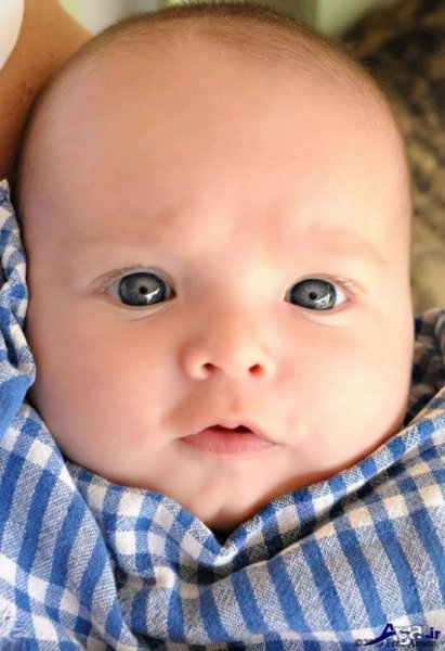  عکس نوزاد خوشگل
