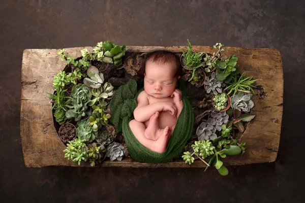 عکس نوزاد دختر و پسر زیبا