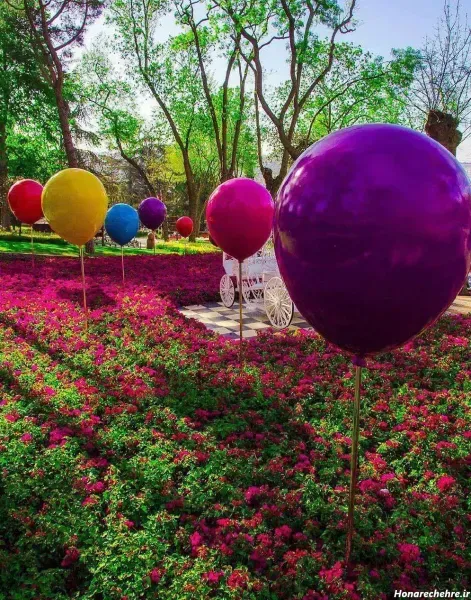  عکس بادکنک های زیبا