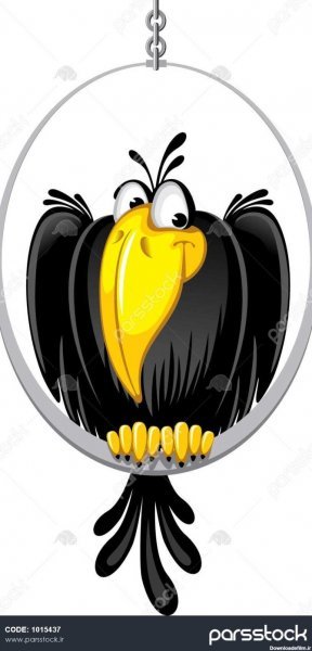  عکس کلاغ فانتزی