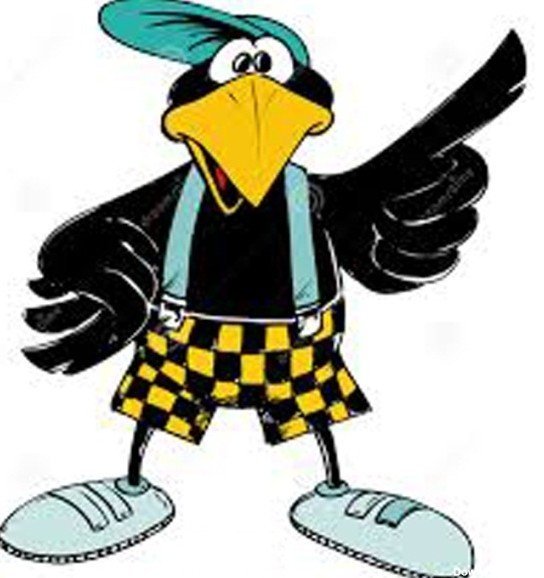  عکس کلاغ فانتزی