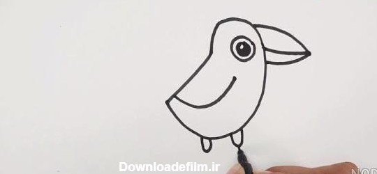  عکس کلاغ فانتزی