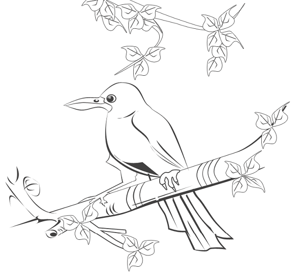  عکس کلاغ نقاشی