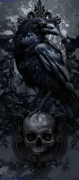 عکس کلاغ برای استوری اینستاگرام