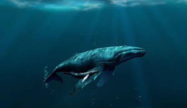  عکس وال برای پروفایل