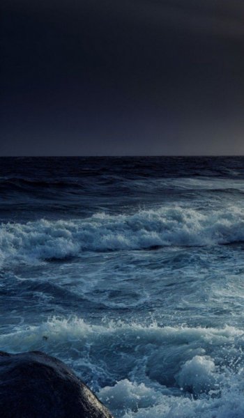  عکس دم وال برای پروفایل