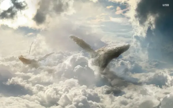  عکس وال واقعی